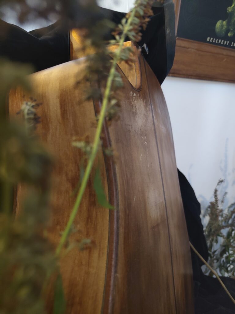 arrière de la guitare custom